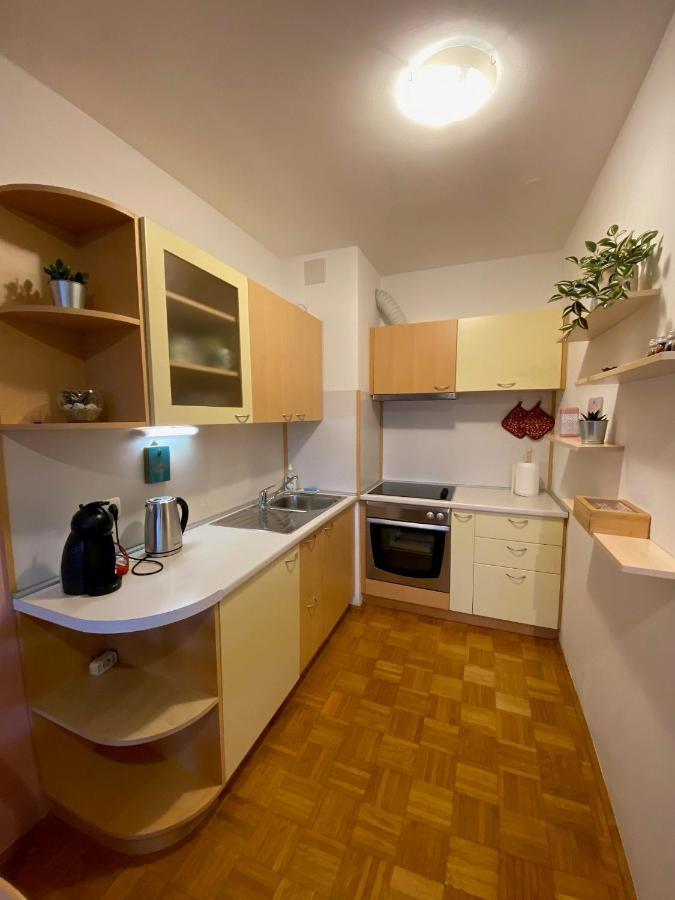 Apartma Felicija Lublaň Exteriér fotografie