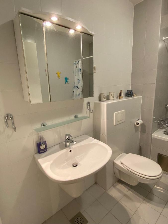 Apartma Felicija Lublaň Exteriér fotografie
