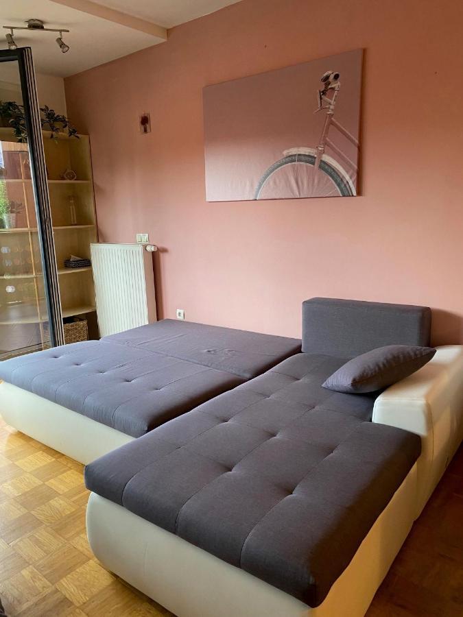 Apartma Felicija Lublaň Exteriér fotografie